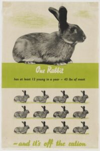 Raising Meat Rabbits for the Homestead Image